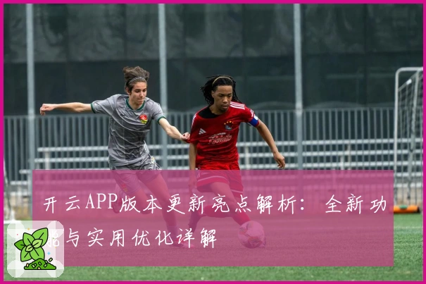 开云APP版本更新亮点解析:全新功能与实用优化详解