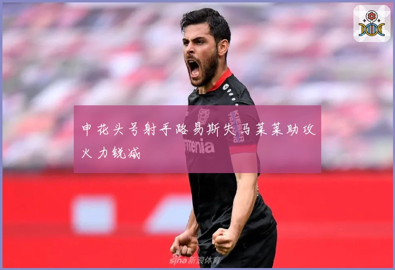 申花头号射手路易斯失马莱莱助攻火力锐减